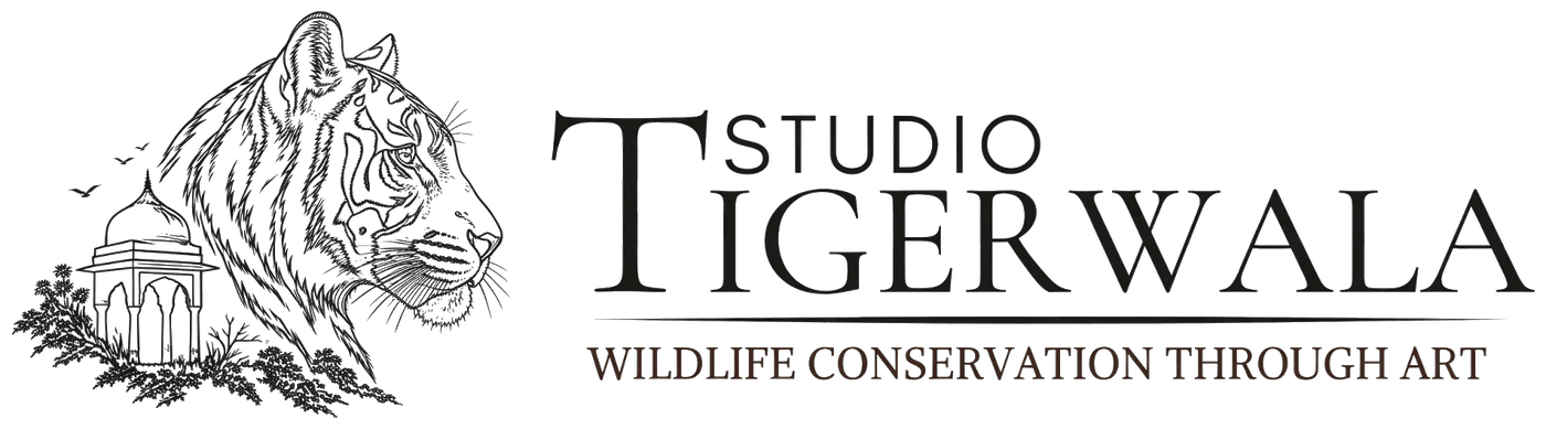Studio Tigerwala